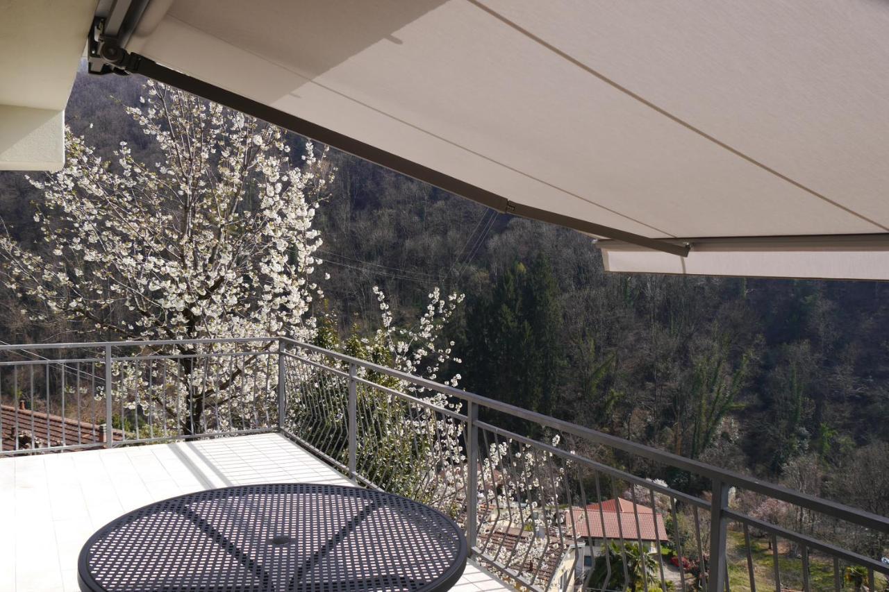 Casa Colmegna Mit Traumhaften See- Und Bergblick Luino Eksteriør billede